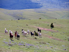 USA-Wyoming-Big Horn Basin Rides in Wyoming